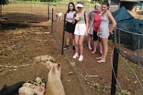 Full-Day Private Guided Tour To Litchfield National Park - 2032 Olympic Games 13