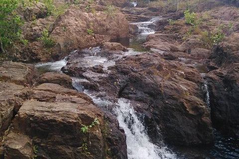 Full-Day Private Guided Tour To Litchfield National Park - 2032 Olympic Games 15