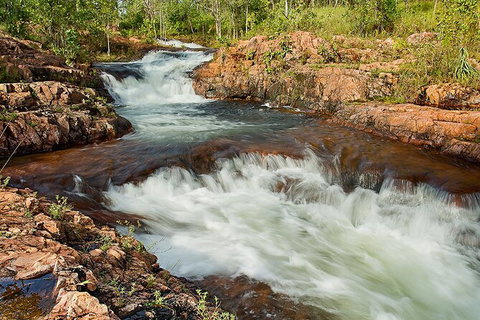 Full-Day Private Guided Tour To Litchfield National Park - 2032 Olympic Games 3
