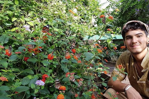 Full-Day Private Guided Tour To Litchfield National Park - 2032 Olympic Games 17