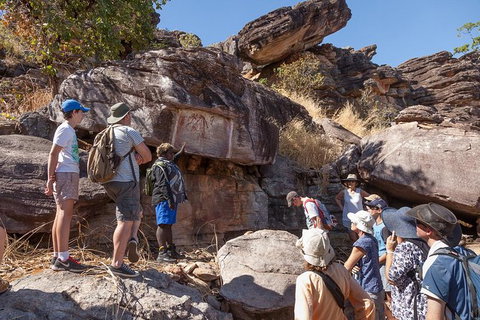 Arnhem Land Injalak Hill Full-Day Tour From Darwin - 2032 Olympic Games 10