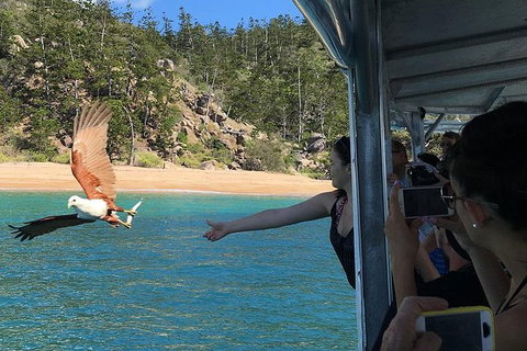 Aquascene Magnetic Island Discovery Tour - 2032 Olympic Games 2