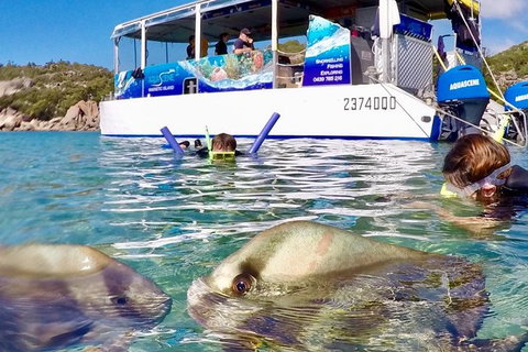 Aquascene Magnetic Island Discovery Tour - 2032 Olympic Games 4