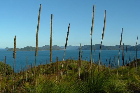 7-Day Private Sea Kayaking In Whitsundays - 2032 Olympic Games 8