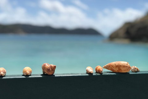 7-Day Private Sea Kayaking In Whitsundays - 2032 Olympic Games 1