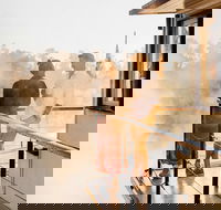 2 Night Upper Murray Escape Cruise - PS Emmylou - 2032 Olympic Games