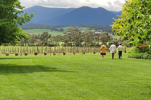 Yarra Valley Wine Tasting Day Tour From Melbourne - 2032 Olympic Games 6