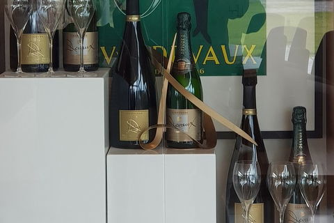 Yarra Valley Wine Tasting Day Tour From Melbourne - 2032 Olympic Games 2