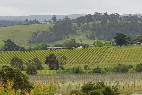 Yarra Valley Wine Tasting Day Tour From Melbourne - 2032 Olympic Games 0