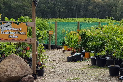 Yarra Valley Wineries And Rayners Orchard Tour From Melbourne - 2032 Olympic Games 0