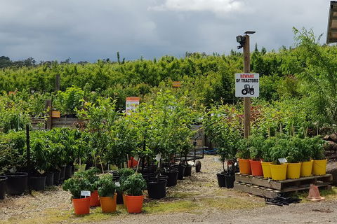 Yarra Valley Wineries And Rayners Orchard Tour From Melbourne - 2032 Olympic Games 22