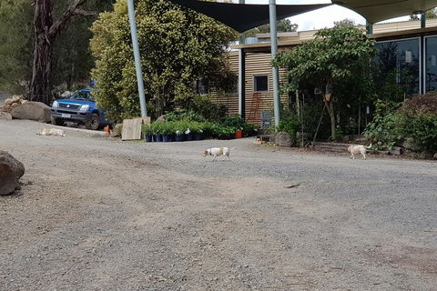 Yarra Valley Wineries And Rayners Orchard Tour From Melbourne - 2032 Olympic Games 24