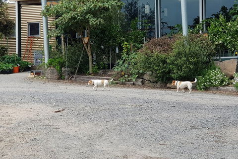 Yarra Valley Wineries And Rayners Orchard Tour From Melbourne - 2032 Olympic Games 23