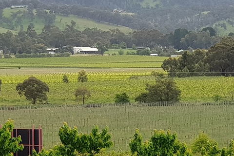 Yarra Valley Wineries And Rayners Orchard Tour From Melbourne - 2032 Olympic Games 2