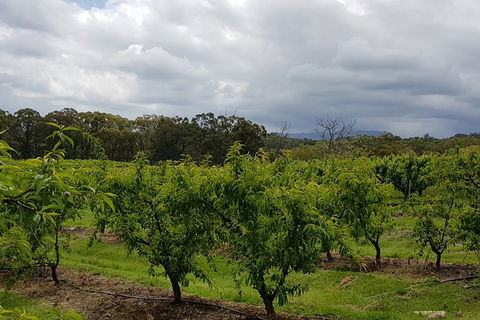 Yarra Valley Wineries And Rayners Orchard Tour From Melbourne - 2032 Olympic Games 18