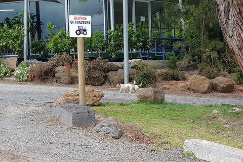 Yarra Valley Wineries And Rayners Orchard Tour From Melbourne - 2032 Olympic Games 1