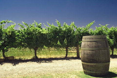 Pinnacles Desert Private Tour - 2032 Olympic Games 4