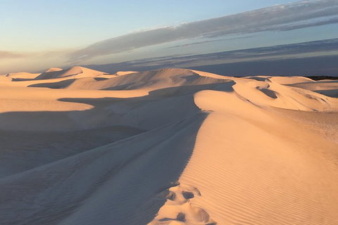 Pinnacles Desert Private Tour - 2032 Olympic Games 2