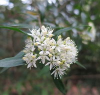 Booderee National Park - 2032 Olympic Games