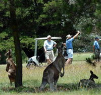 Glen Innes Golf Club - 2032 Olympic Games