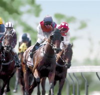 Colac Turf Club - 2032 Olympic Games