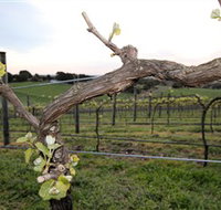 Nalbra Estate Wines - 2032 Olympic Games