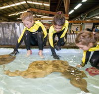 Australian Shark and Ray Centre - 2032 Olympic Games