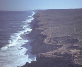 Useless Loop WA 2032 Olympic Games