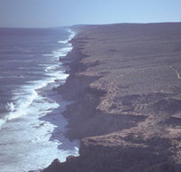 Useless Loop - 2032 Olympic Games