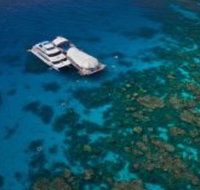 Great Adventures Reef and Green Island Cruises - 2032 Olympic Games