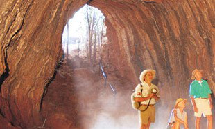 Undara Experience - 2032 Olympic Games 3