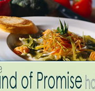 Land of Promise Hotel - 2032 Olympic Games