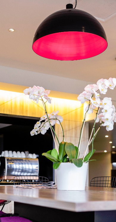 MRepublic Restaurant, Bar And Lounge - 2032 Olympic Games 4