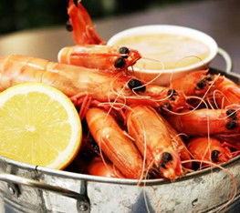 Sandgate QLD 2032 Olympic Games