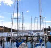 Oyster Cove Inn - 2032 Olympic Games