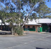 Cedars Tavern - 2032 Olympic Games