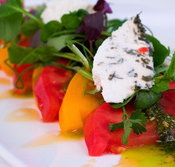 East End Hotel - 2032 Olympic Games