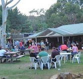 Bush Shack Brewery - 2032 Olympic Games