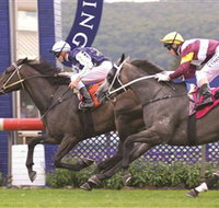 Gosford Race Club - 2032 Olympic Games