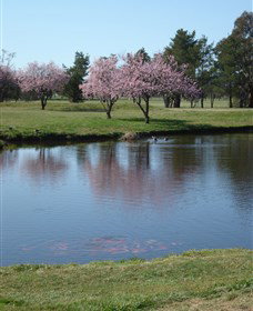 RMC Golf Club - 2032 Olympic Games 0