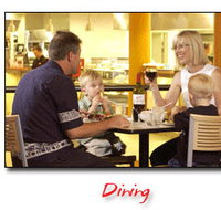 Steelers Club - 2032 Olympic Games