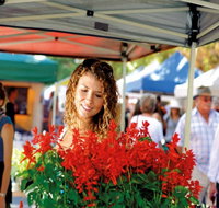 Ballina Missingham Farmers Market - 2032 Olympic Games