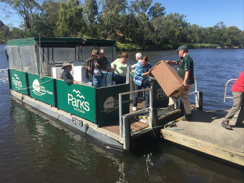 Herring Island Summer Arts Festival - 2032 Olympic Games 1