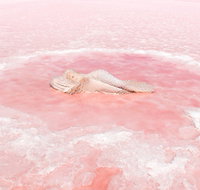 Oceans from here - 2032 Olympic Games