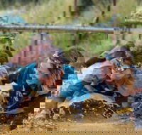 Suck It Up Buttercup Vikings Obstacle Course - 2032 Olympic Games