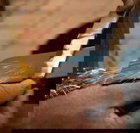 Blacksmithing 2 Day Project Workshop - 2032 Olympic Games