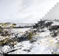 Christmas in July at Cradle Mountain Hotel 2020 - 2032 Olympic Games