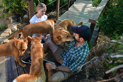 Dingo Den Discovery Experience - 2032 Olympic Games 1