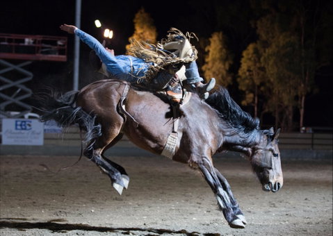 North Queensland Elite Rodeo - 2032 Olympic Games 1