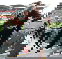 Stadium Stomp Adelaide Oval - Postponed - 2032 Olympic Games